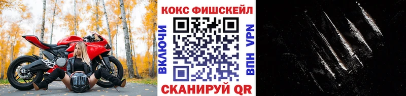 мега ТОР  площадка наркотические препараты  COCAIN 99%  Курчатов 