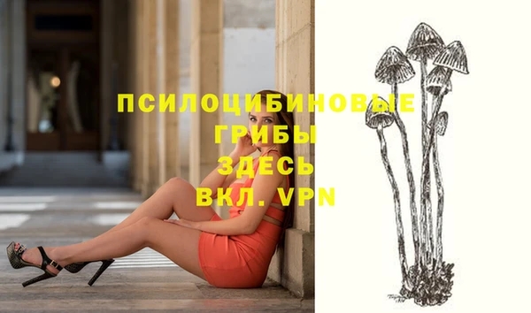 мяу мяу мука Абинск