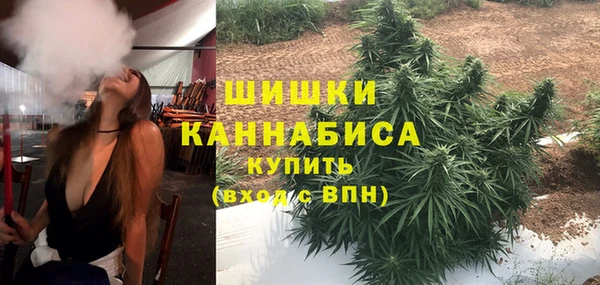 сатива Абдулино