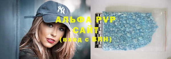 прущие грибы Абаза