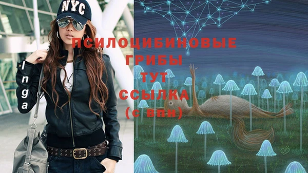 мяу мяу мука Абинск