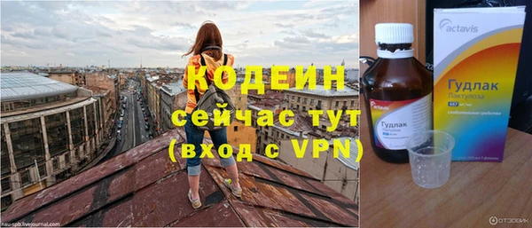 гидра Анжеро-Судженск