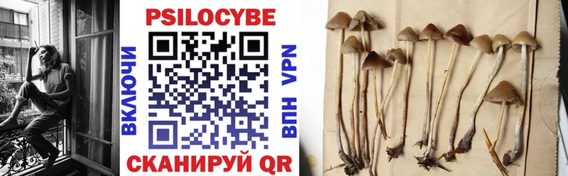 omg онион  Курчатов  Галлюциногенные грибы ЛСД  площадка состав  сколько стоит 