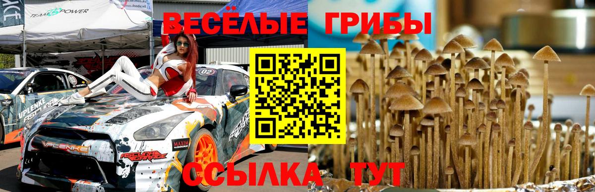 Псилоцибиновые грибы Psilocybe  Вход с VPN  Курчатов  Галлюциногенные грибы Psilocybe 